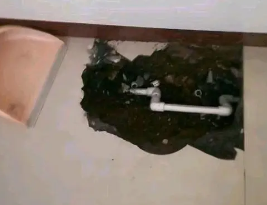 永德卫生间测漏水多少钱